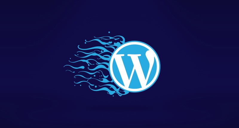 Complete Optimization of WordPress for Speed and Better Performance