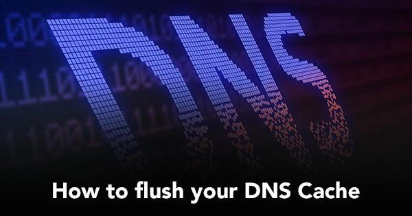 Flush DNS Server Cache on Windows